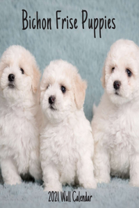 Bichon Frise Puppies 2021 Wall Calendar