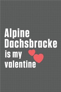 Alpine Dachsbracke is my valentine