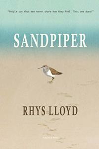 Sandpiper