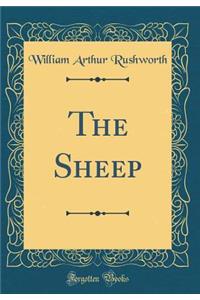 The Sheep (Classic Reprint)