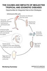 The Causes and Impacts of Neglected Tropical and Zoonotic Diseases