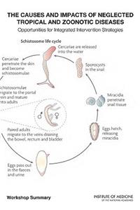 Causes and Impacts of Neglected Tropical and Zoonotic Diseases