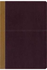 KJV, Amplified, Parallel Bible, Large Print, Leathersoft, Tan/Red, Red Letter Edition