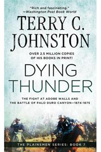 Dying Thunder: The Battle of Adobe Walls & Palo Canyon, 1874