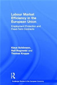 Labour Market Efficiency in the European Union