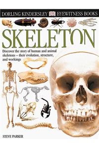 Skeleton