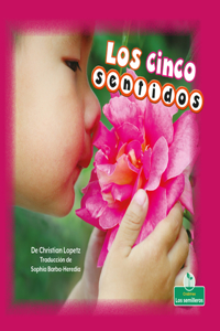 Los Cinco Sentidos (Our Five Senses)