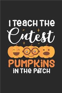 I Teach The Cutest Pumpkins In The Patch