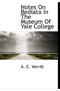 Notes on Rediata in the Museum of Yale College