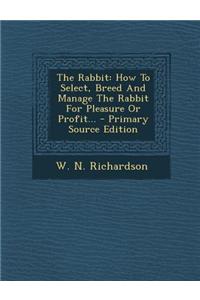The Rabbit