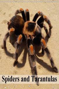 Spiders and Tarantulas 2016