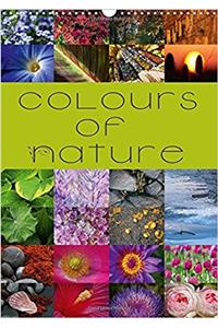 Colours of Nature / UK-Version 2017
