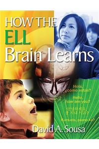 How the ELL Brain Learns