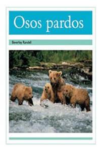Osos Pardos (Brown Bears)