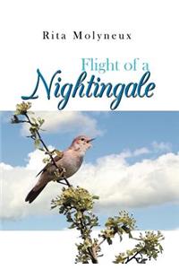 Flight of a Nightingale