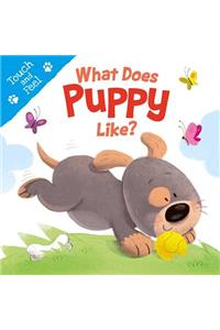 What Does Puppy Like?: Touch & Feel Board Book