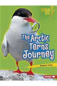 The Arctic Tern's Journey