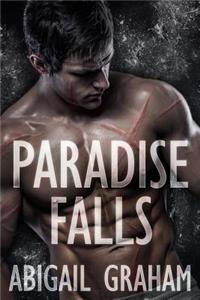 Paradise Falls (A Romantic Suspense)