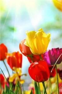 MindBlowing Tulip Journal 2