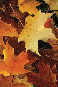Autumn Leaves Journal