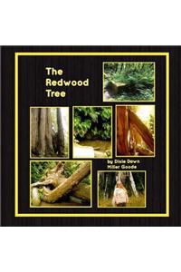 The Redwood Tree