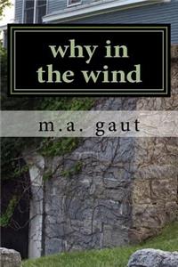 why in the wind