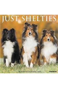 Just Shelties 2019 Wall Calendar (Dog Breed Calendar)