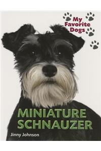 Miniature Schnauzer