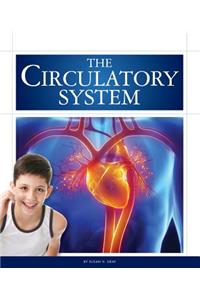 The Circulatory System