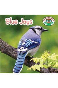 Blue Jays