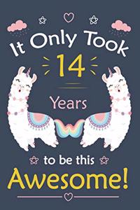 It only Took 14 Years To Be This Awesome!