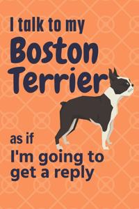 I talk to my Boston Terrier as if I'm going to get a reply