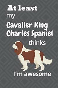 At least My Cavalier King Charles Spaniel thinks I'm awesome