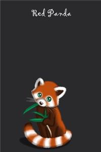 Red Panda