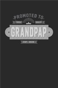 Promoted To Super Quality Grandpap Est. 2020