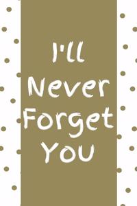 I'll Never Forget You