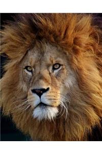 Portrait of a Lion Dot Grid Bullet Journal: 150 Pages 8 X 10 Inches