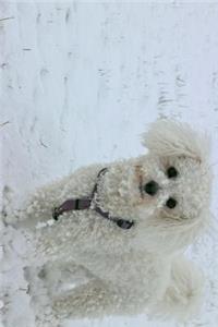 Bichon Frise Dog Standing in the Snow Journal