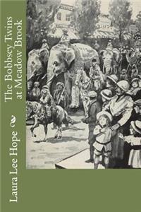 The Bobbsey Twins at Meadow Brook