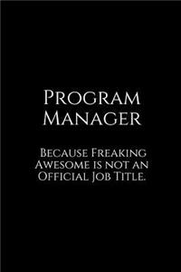 Program Manager