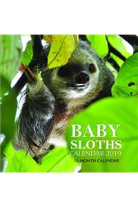 Baby Sloths Calendar 2019