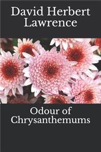 Odour of Chrysanthemums