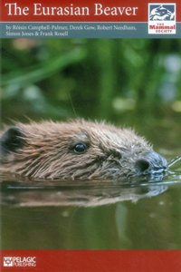 Eurasian Beaver