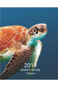 2019 Weekly and Monthly Planner