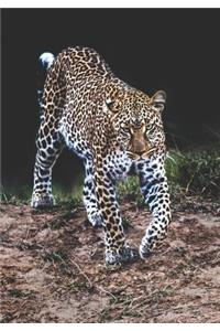 2019 Appointment Calendar: 2019 Daily Planner Goal Planner Jaguar