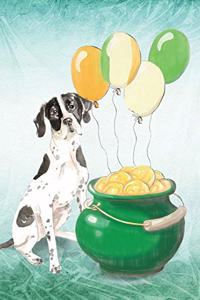 English Pointer