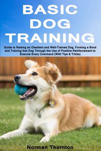 Basic Dog Training