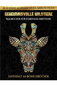 Malbücher für Fortgeschrittene (Geheimnisvolle Wildtiere)
