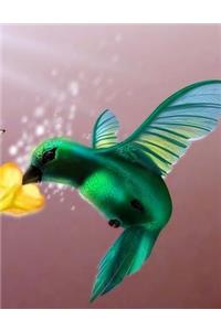 Humming Bird Notebook