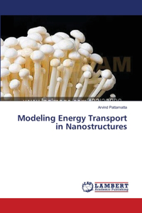Modeling Energy Transport in Nanostructures